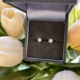 Sterling Silver Freshwater Pearl Studs