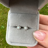 Sterling Silver Flower Opal Earrings