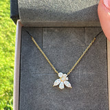 Sterling Silver Hazel Necklace( Gold & Silver)